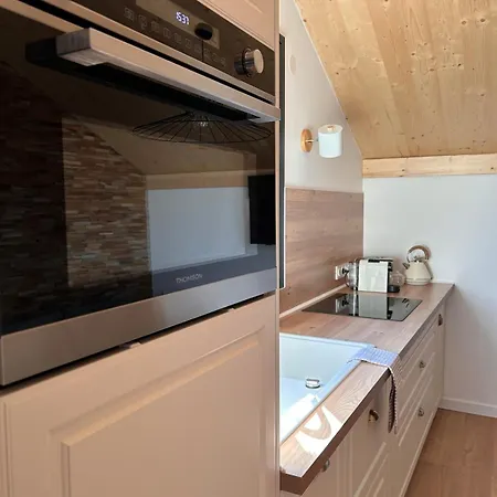 Apartment Le Meleze, Chaleureux 4pers Pres De Geneve & Annecy *