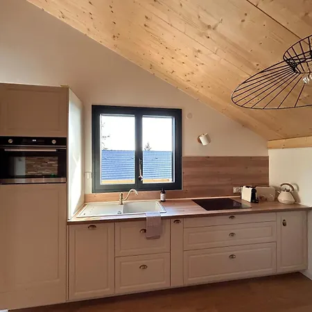 Le Meleze, Chaleureux 4pers Pres De Geneve & Annecy Apartment Saint-Germain-sur-Ecole