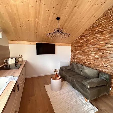 Le Meleze, Chaleureux 4pers Pres De Geneve & Annecy Apartment Saint-Germain-sur-Ecole